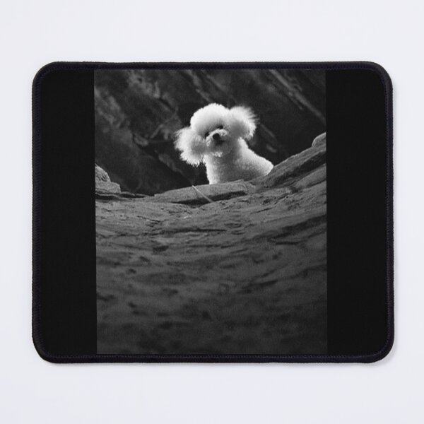 Item preview, THE SILENCE OF THE LAMBS DOG PRECIOUS Meme designed and sold by AtanacioBridget.