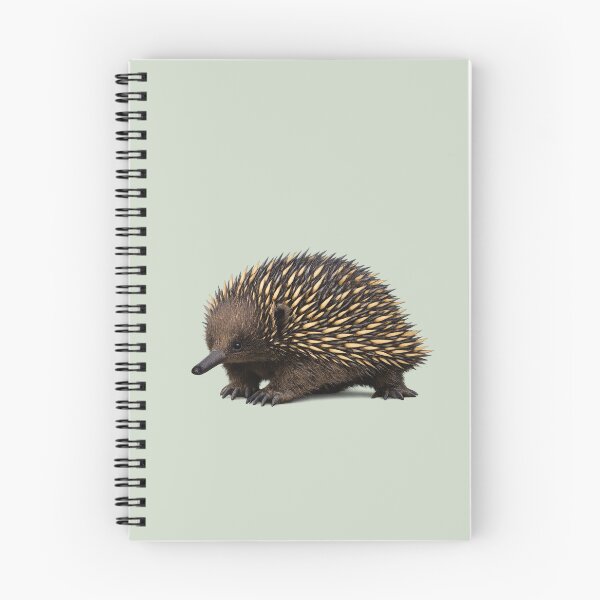 Item preview, Echidna designed and sold by Poplartree.