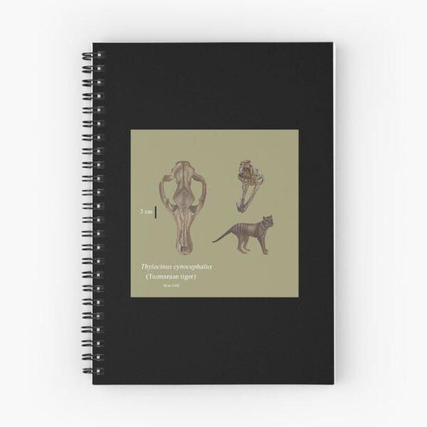 Item preview, Thylacine - Tasmanian Tiger scientific Illustration  designed and sold by Paleo Griff.