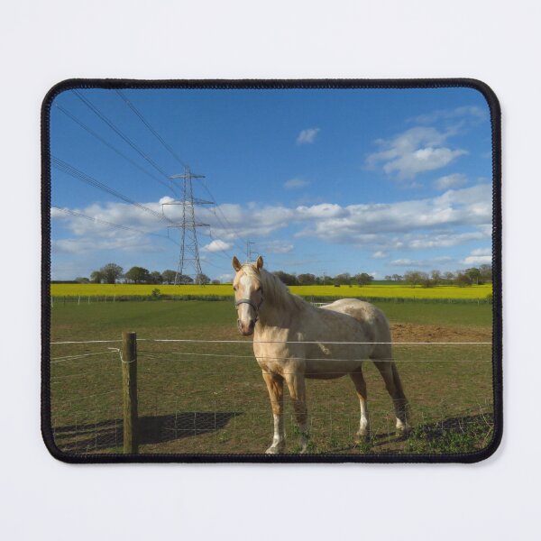 Item preview, Inquisitive White Horse designed and sold by wiggyofipswich.