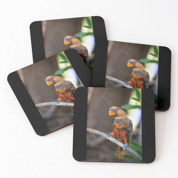 Item preview, Vibrant Dusky Lory Portrait - Exotic Tropical Bird Photography designed and sold by AbulailArt.