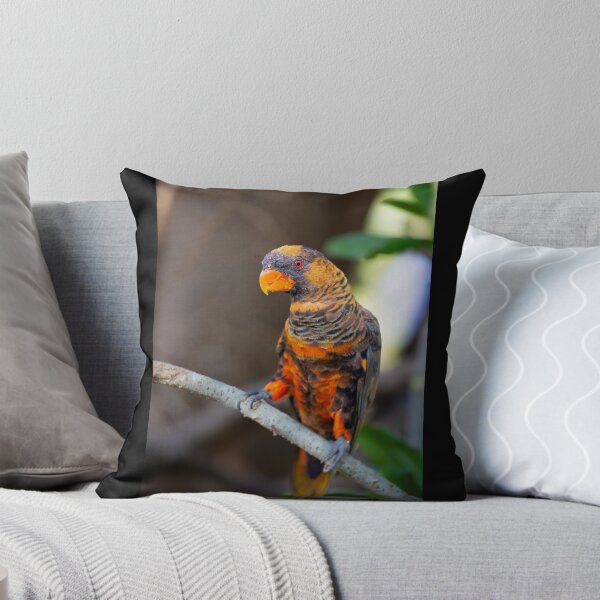 Item preview, Vibrant Dusky Lory Portrait - Exotic Tropical Bird Photography designed and sold by AbulailArt.