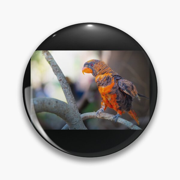 Item preview, Vibrant Dusky Lory Parrot - Tropical Wildlife Bird Photography designed and sold by AbulailArt.