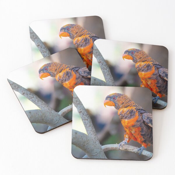 Item preview, Vibrant Dusky Lory Parrot - Tropical Wildlife Bird Photography designed and sold by AbulailArt.