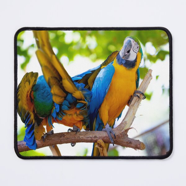 Item preview, Vibrant Blue and Yellow Macaw Parrots - Tropical Jungle Wildlife designed and sold by AbulailArt.