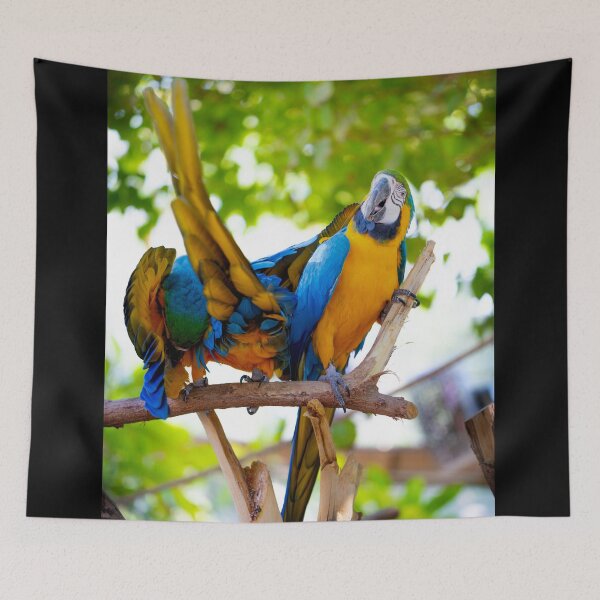 Item preview, Vibrant Blue and Yellow Macaw Parrots - Tropical Jungle Wildlife designed and sold by AbulailArt.