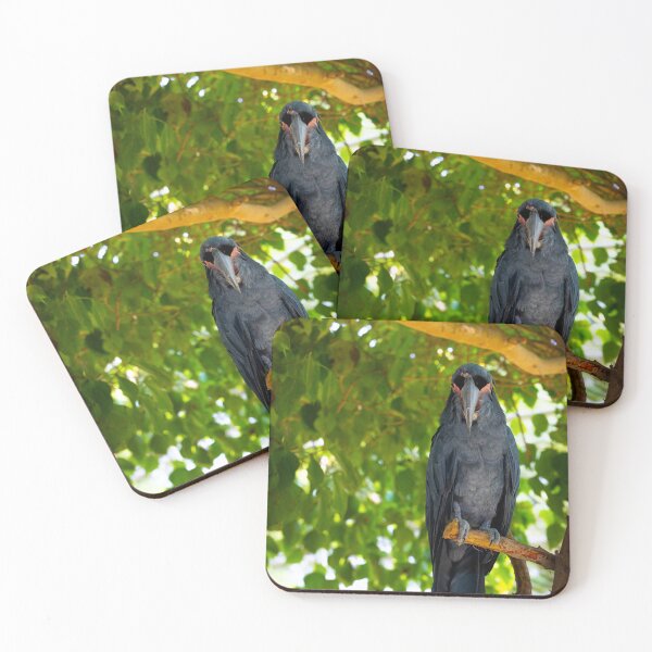 Item preview, Majestic Palm Cockatoo Portrait - Dark Exotic Bird Wildlife Photography designed and sold by AbulailArt.