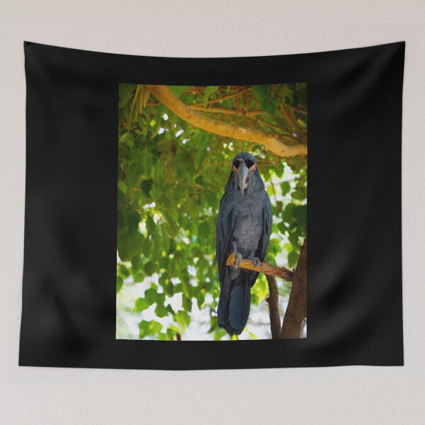Item preview, Majestic Palm Cockatoo Portrait - Dark Exotic Bird Wildlife Photography designed and sold by AbulailArt.