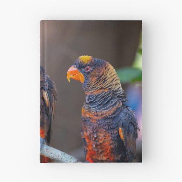 Item preview, Dusky Lory Parrots Perched - Tropical Wildlife Bird Photography designed and sold by AbulailArt.