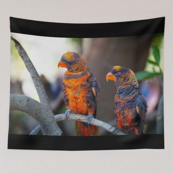 Item preview, Dusky Lory Parrots Perched - Tropical Wildlife Bird Photography designed and sold by AbulailArt.