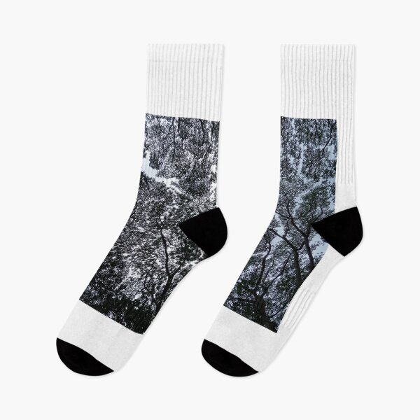 Item preview, Nature’s Intricate Lace: Hawaii Monkeypod Canopy designed and sold by sky earth human.