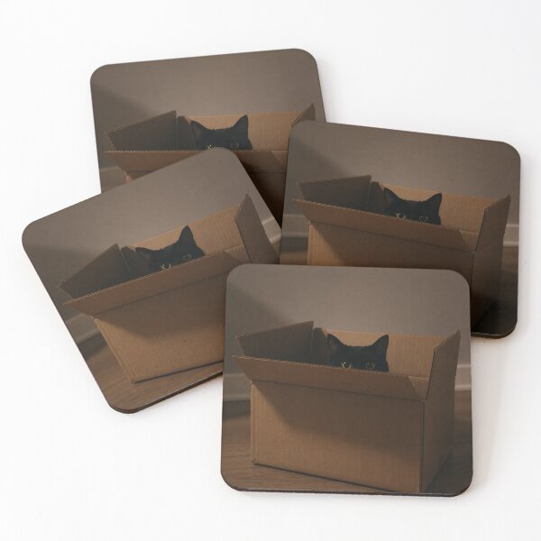 Item preview, Hidden Black Cat in Cardboard Box, Cozy Minimalist Cat Photography Poster designed and sold by DrizzyV.