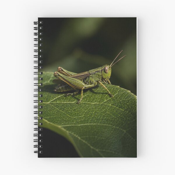 Item preview, Macro Grasshopper on Leaf, Nature Photography Wall Art, Botanical Aesthetic Poster designed and sold by DrizzyV.