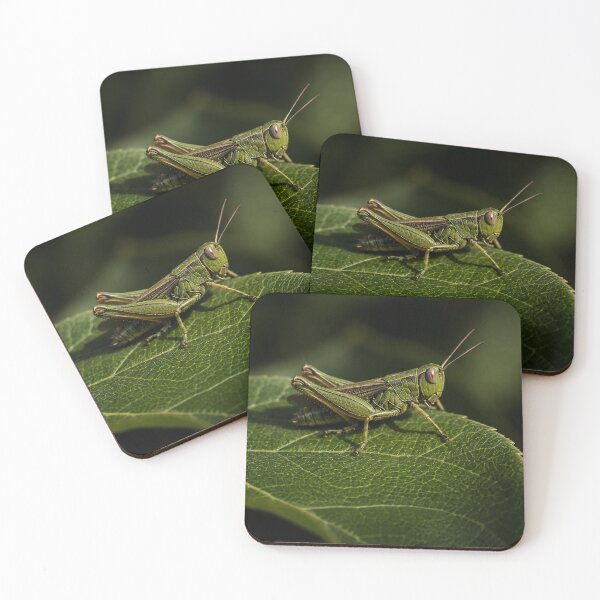 Item preview, Macro Grasshopper on Leaf, Nature Photography Wall Art, Botanical Aesthetic Poster designed and sold by DrizzyV.