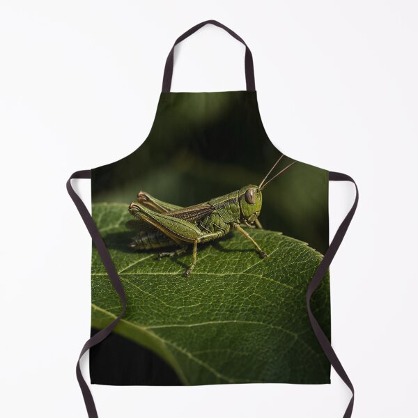 Item preview, Macro Grasshopper on Leaf, Nature Photography Wall Art, Botanical Aesthetic Poster designed and sold by DrizzyV.