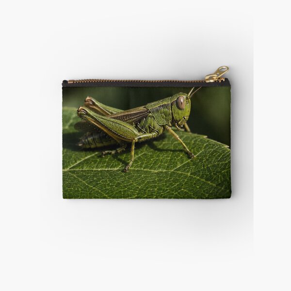 Item preview, Macro Grasshopper on Leaf, Nature Photography Wall Art, Botanical Aesthetic Poster designed and sold by DrizzyV.