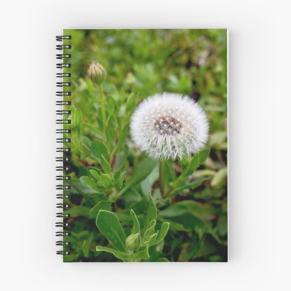 Item preview, Cotton Ball in the Garden: Dandelion Seed Head designed and sold by sky earth human.