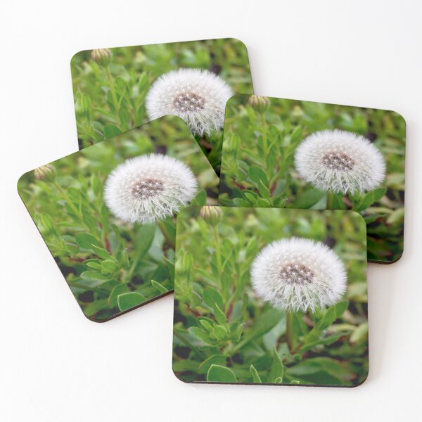 Item preview, Cotton Ball in the Garden: Dandelion Seed Head designed and sold by sky earth human.
