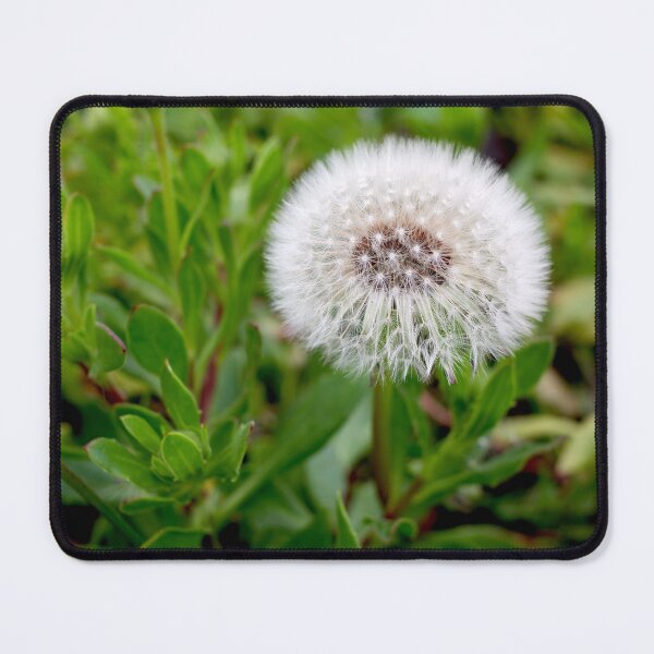 Item preview, Cotton Ball in the Garden: Dandelion Seed Head designed and sold by sky earth human.