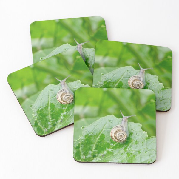 Item preview, Morning Journey: Snail on a Rain-Kissed Leaf designed and sold by sky earth human.