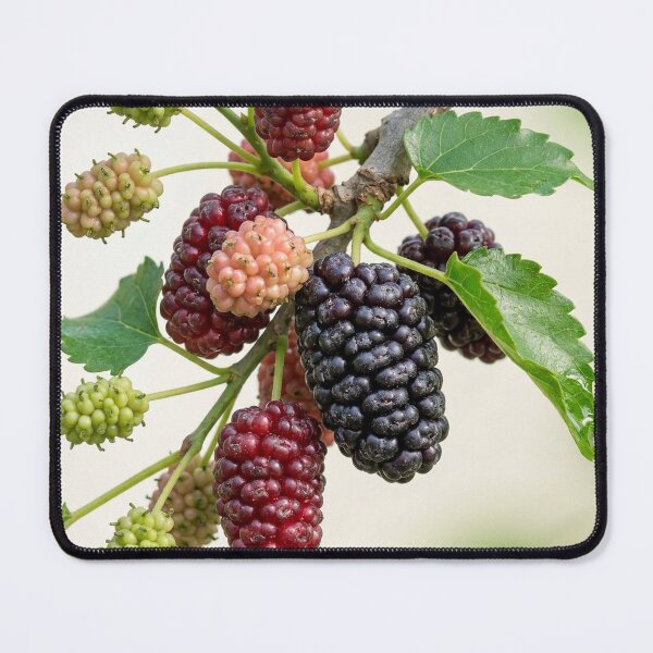 Item preview, Nature’s Gradient: The Mulberry Harvest designed and sold by Mindful Heritage.