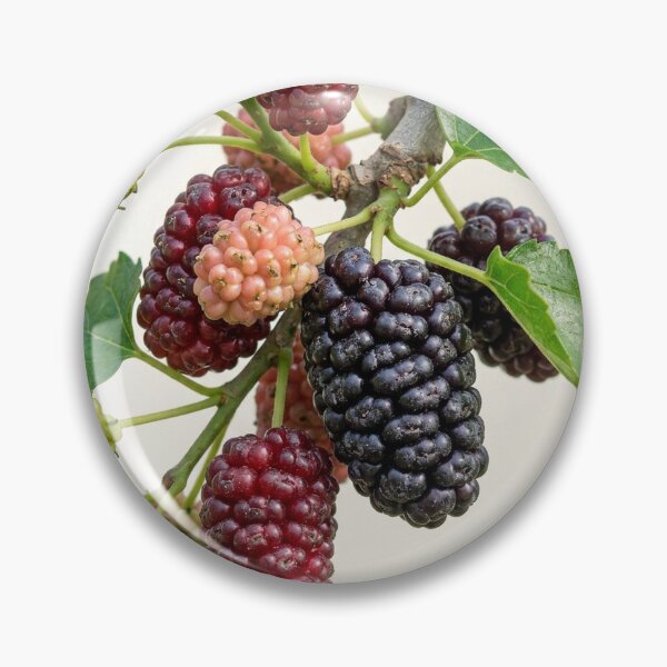 Item preview, Nature’s Gradient: The Mulberry Harvest designed and sold by Mindful Heritage.