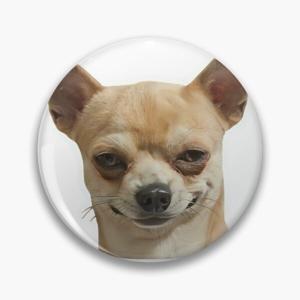 Item preview, Seductive Chihuahua Flirty Look Funny Dog Sticker designed and sold by Mustangana.