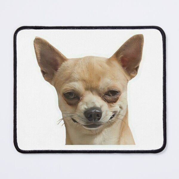 Item preview, Seductive Chihuahua Flirty Look Funny Dog Sticker designed and sold by Mustangana.
