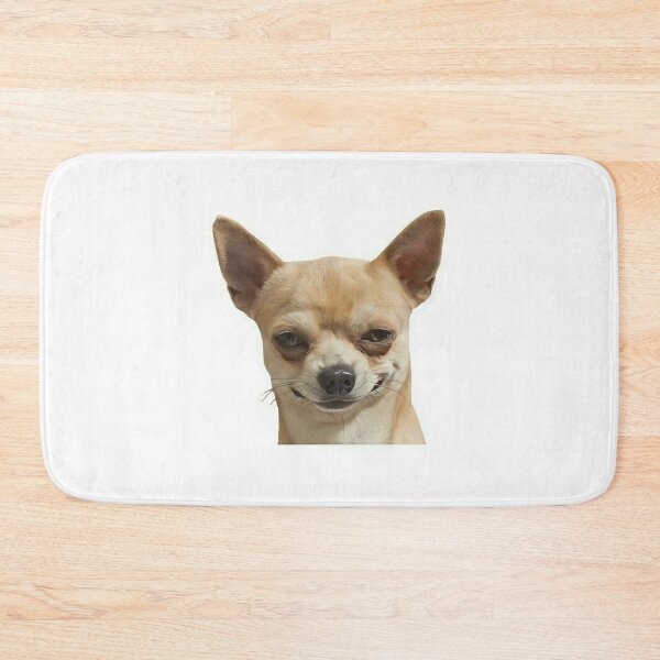 Item preview, Seductive Chihuahua Flirty Look Funny Dog Sticker designed and sold by Mustangana.