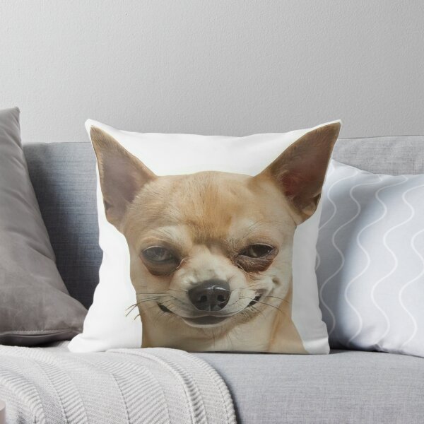 Item preview, Seductive Chihuahua Flirty Look Funny Dog Sticker designed and sold by Mustangana.