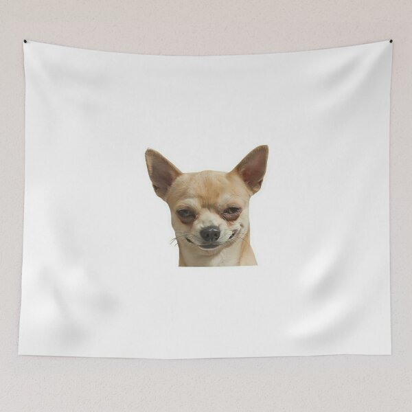 Item preview, Seductive Chihuahua Flirty Look Funny Dog Sticker designed and sold by Mustangana.