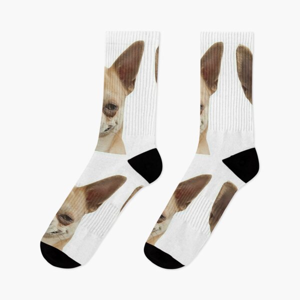 Item preview, Seductive Chihuahua Flirty Look Funny Dog Sticker designed and sold by Mustangana.