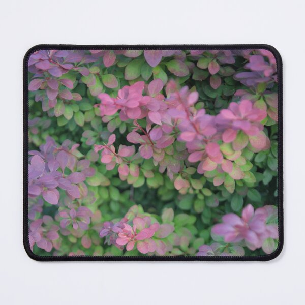 Item preview, Barberry Glow – Close-Up Botanical Texture designed and sold by iam01110011.