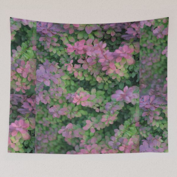 Item preview, Barberry Glow – Close-Up Botanical Texture designed and sold by iam01110011.