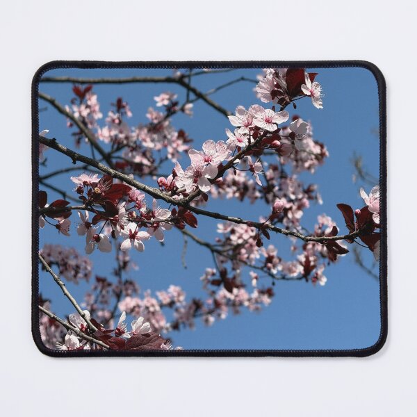 Item preview, Flowering Cherry Tree Branches Against Blue Sky designed and sold by BalkanBloom.