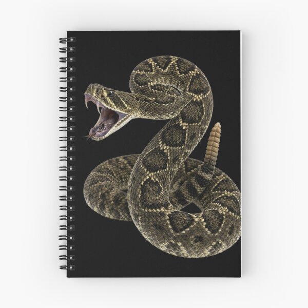 Item preview, Realistic Rattlesnake Striking Pose Illustration designed and sold by RoyalDeluxGo.