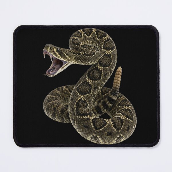 Item preview, Realistic Rattlesnake Striking Pose Illustration designed and sold by RoyalDeluxGo.