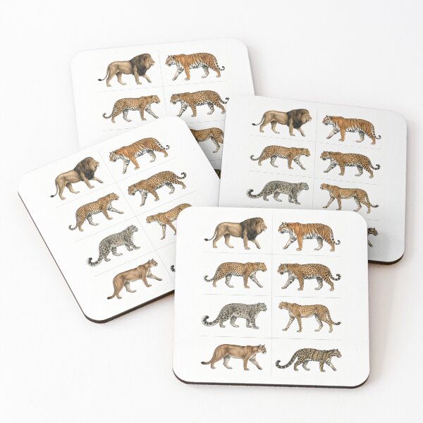 Item preview, Big Cat Species designed and sold by ArunDandiboina.