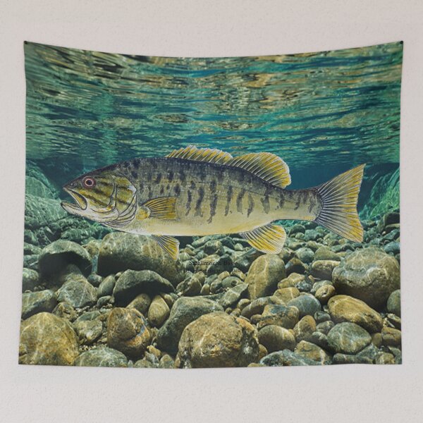 Item preview, Smallmouth Bass Painting designed and sold by Stephen Emms.