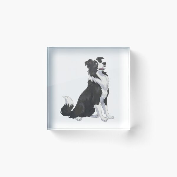 Item preview, Border Collie dog portrait illustration isolated designed and sold by Vitali Bogomazov.