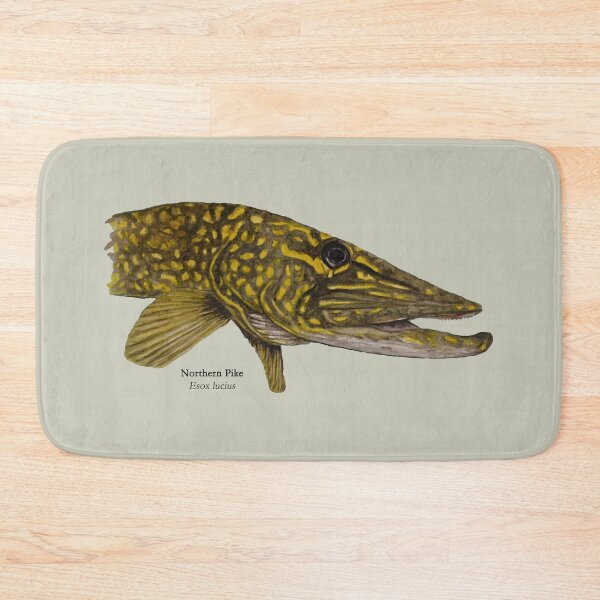 Item preview, Northern Pike Head Painting designed and sold by Stephen Emms.