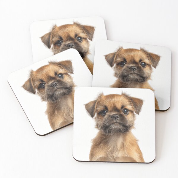 Artikelvorschau, Bezaubernder Brüsseler Griffon-Welpe für Liebhaber süßer Brüsseler Griffon-Welpen entworfen und verkauft von LazyOwlStore.