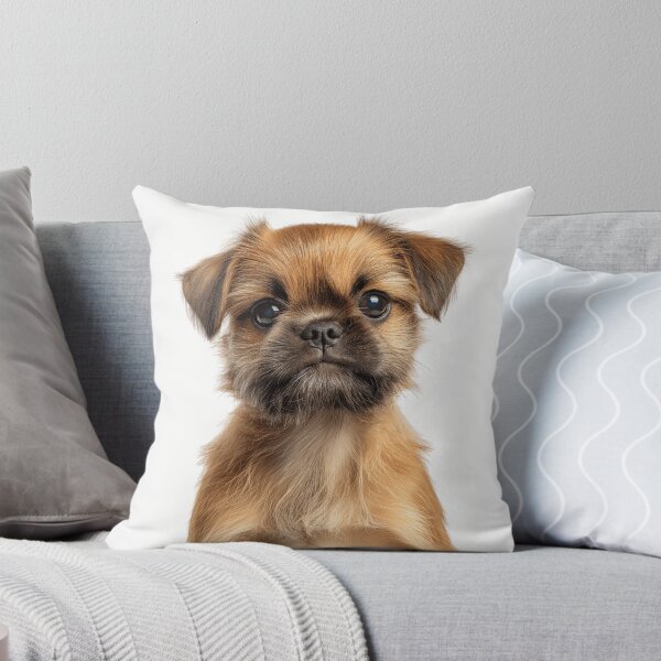 Artikelvorschau, Bezaubernder Brüsseler Griffon-Welpe für Liebhaber süßer Brüsseler Griffon-Welpen entworfen und verkauft von LazyOwlStore.