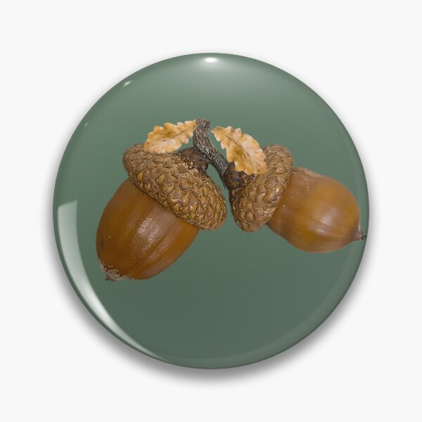 Item preview, The Kind Acorn Pair designed and sold by Sir Martin.