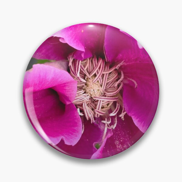 Item preview, Royal Purple Clematis designed and sold by Sir Martin.