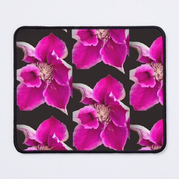 Item preview, Royal Purple Clematis designed and sold by Sir Martin.