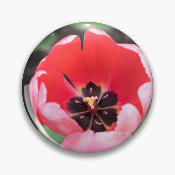 Item preview, One Vibrant Pink Tulip in Bloom designed and sold by Georgia Mizuleva.
