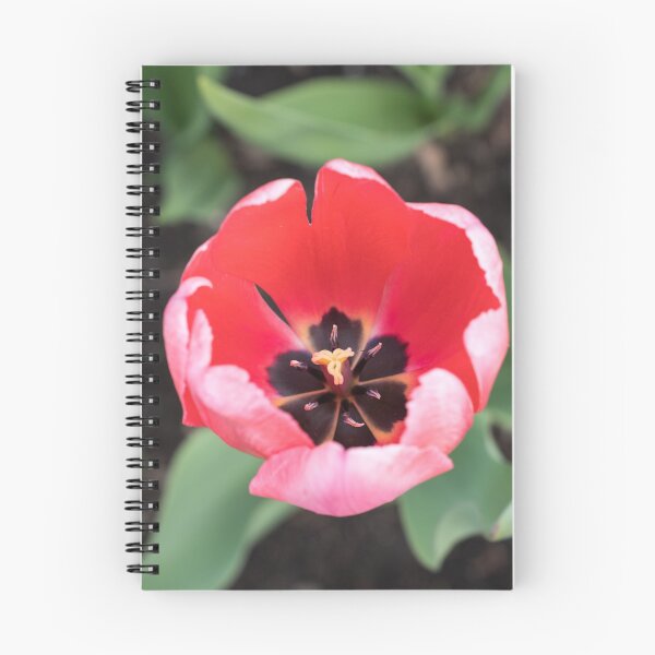 Item preview, One Vibrant Pink Tulip in Bloom designed and sold by Georgia Mizuleva.