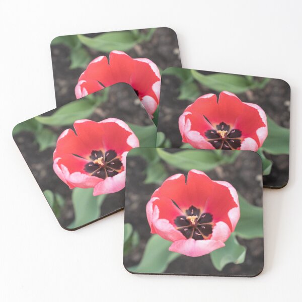 Item preview, One Vibrant Pink Tulip in Bloom designed and sold by Georgia Mizuleva.