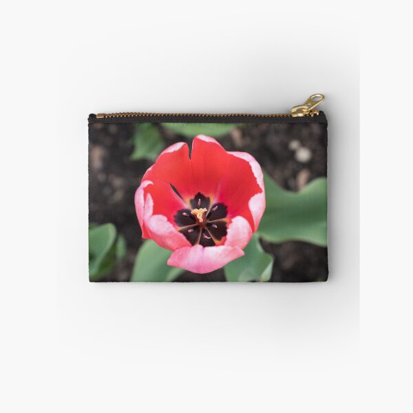 Item preview, One Vibrant Pink Tulip in Bloom designed and sold by Georgia Mizuleva.